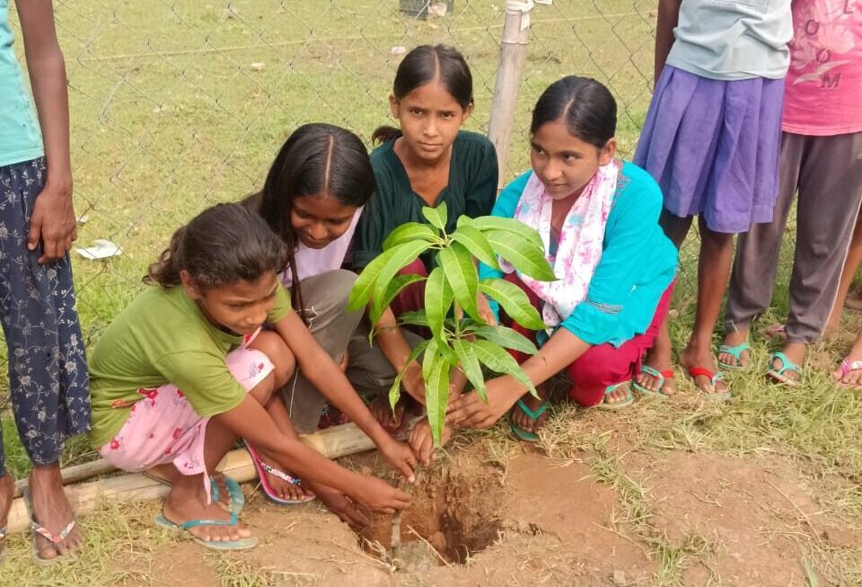 environmentdaychesta
